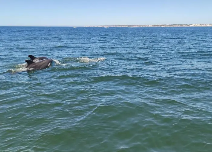 Luxury In Complex With Ocean And Marina View By Be Cherish דירה *